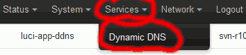 Navigate to the Services > Dynamic DNS page